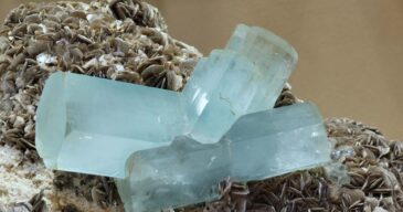 Aquamarin auf Muskovit Aquamarin auf Muskovit